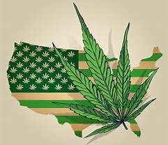 marijuana legalization