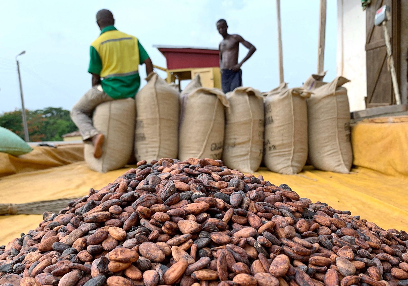 Ivory Coast, Ghana Looking To Regulate Cocoa Industry’s Sustainability Schemes — Sources