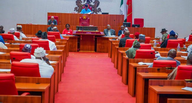 Senate unhappy with Information Ministry’s meager allocation in 2024