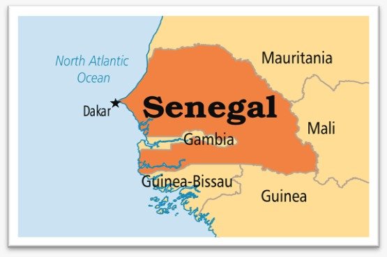 CONSTITUTIONAL COUNCIL REJECTS POSTPONEMENT OF SENEGAL’S PRESIDENTIAL ELECTION