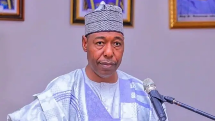 Zulum supervises delivery of foodstuff to over 52,000 households