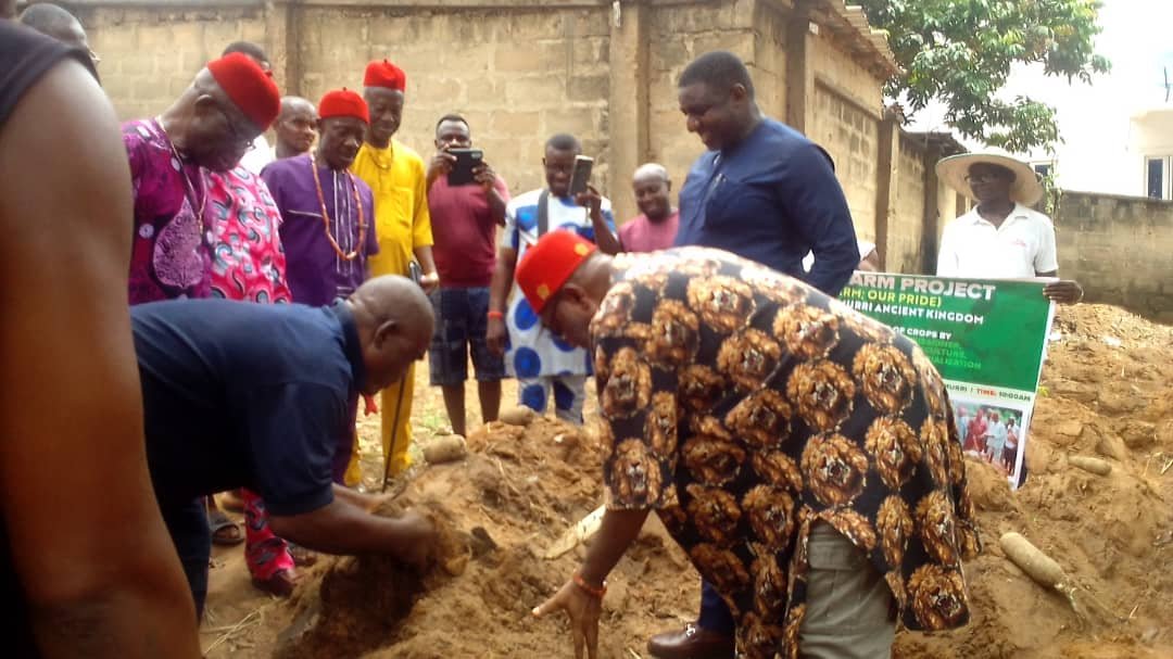 Enugu govt urges all residents to go back-to-farm, cultivate any available space