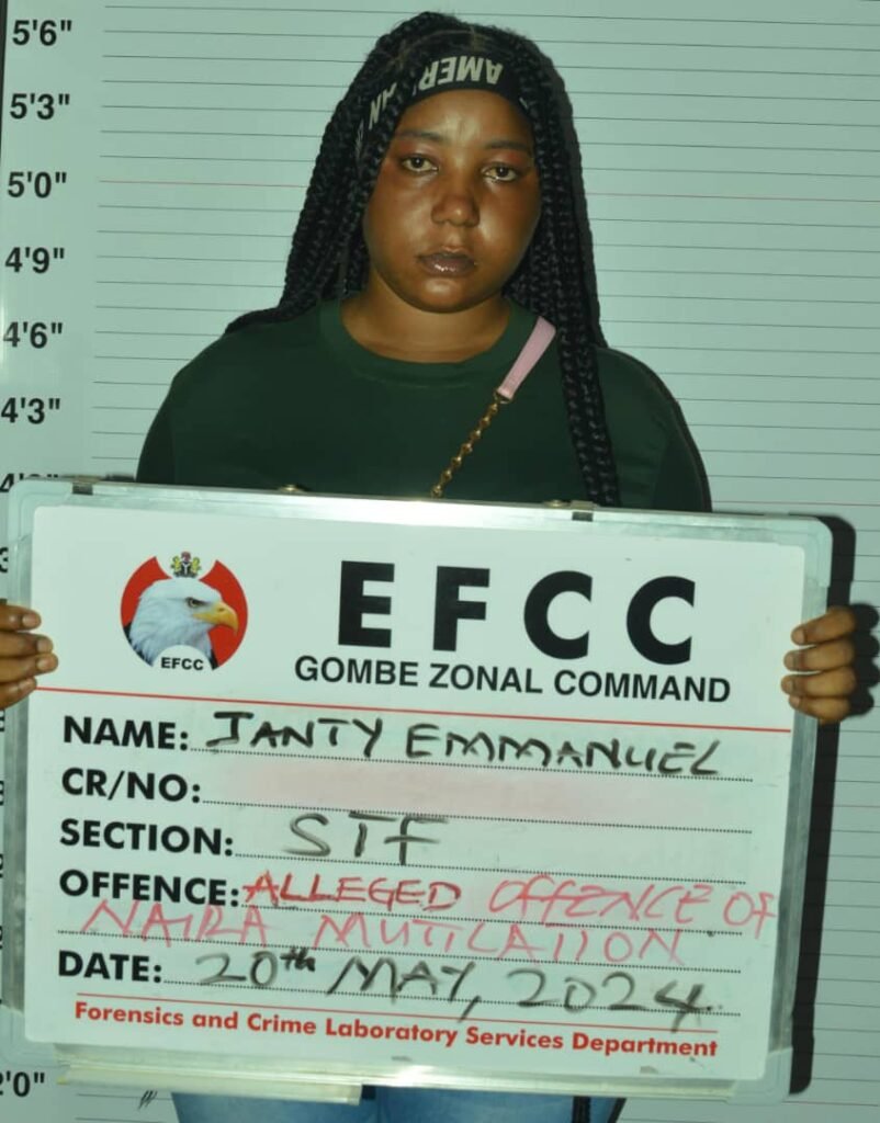 Naira Abuse:  EFCC Arrests Woman in Gombe