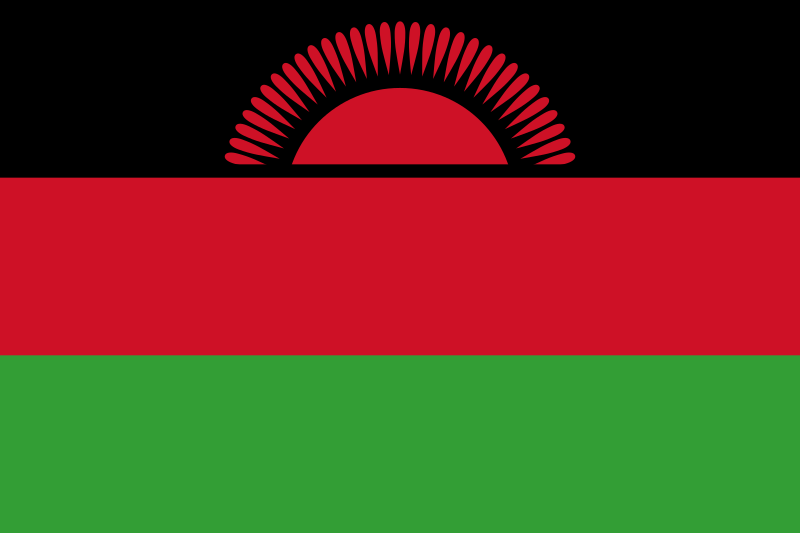 Malawi’s vice president confirmed dead in plane crash