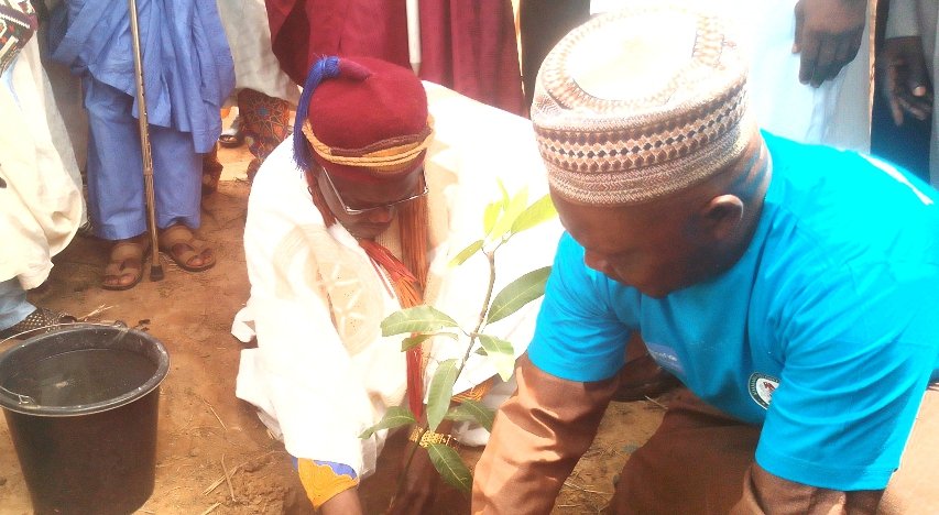 UNICEF, Agency inaugurates tree planting campaign in Adamawa