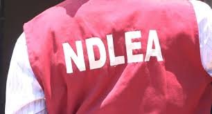 NDLEA intercepts 2.4m tramadol pills in Gombe State