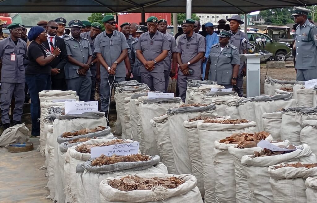 Customs seized 10,598 arms, 114.929 ammunition in 6 years — CGC