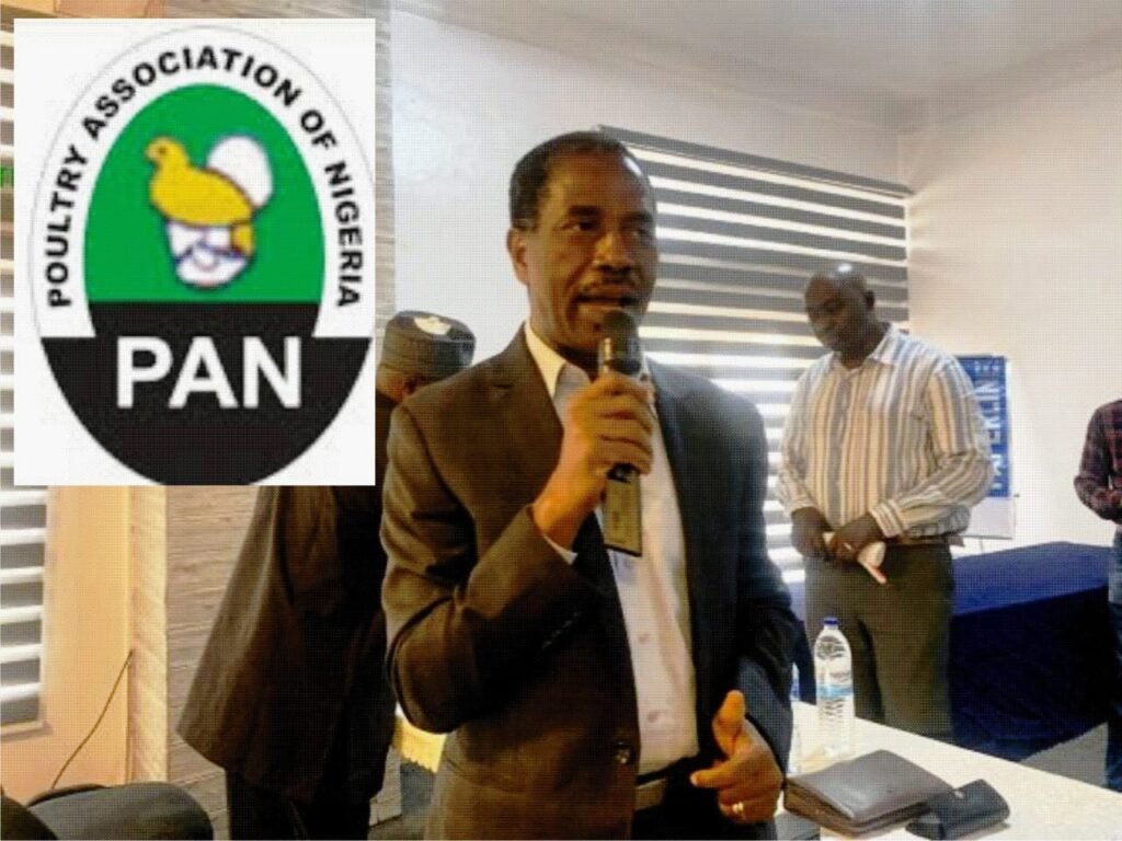 Poultry Association Boss Assures Nigerians of Product Availability this Christmas.