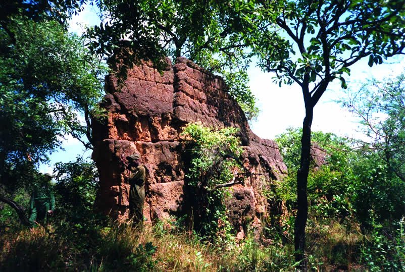 Promoting Sungbo Eredo where foreigners pay homage to African deities