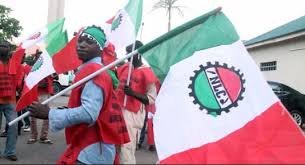 Ondo workers will receive minimum wage next week— NLC