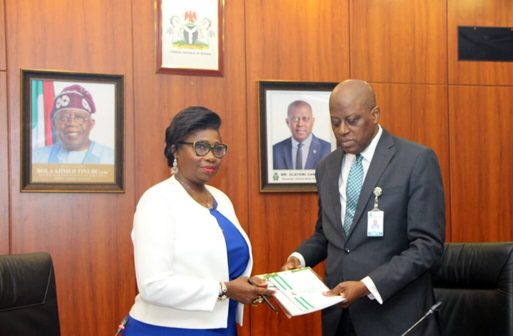 NIDCOM Boss, Dabiri-Erewa Applauds Cardoso on Launch of Non-Resident Nigerian Accounts