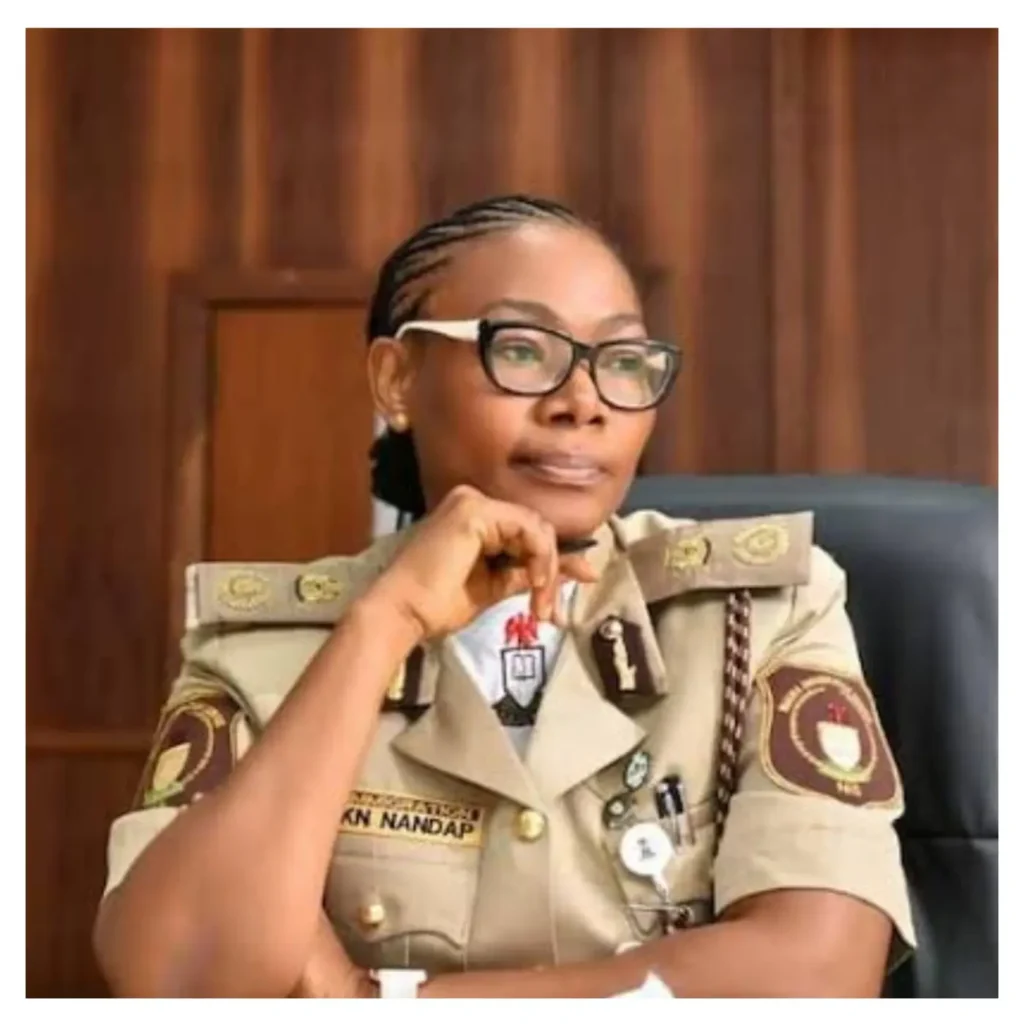 Tinubu extends Immigration boss, Nandap’s tenure till 2026