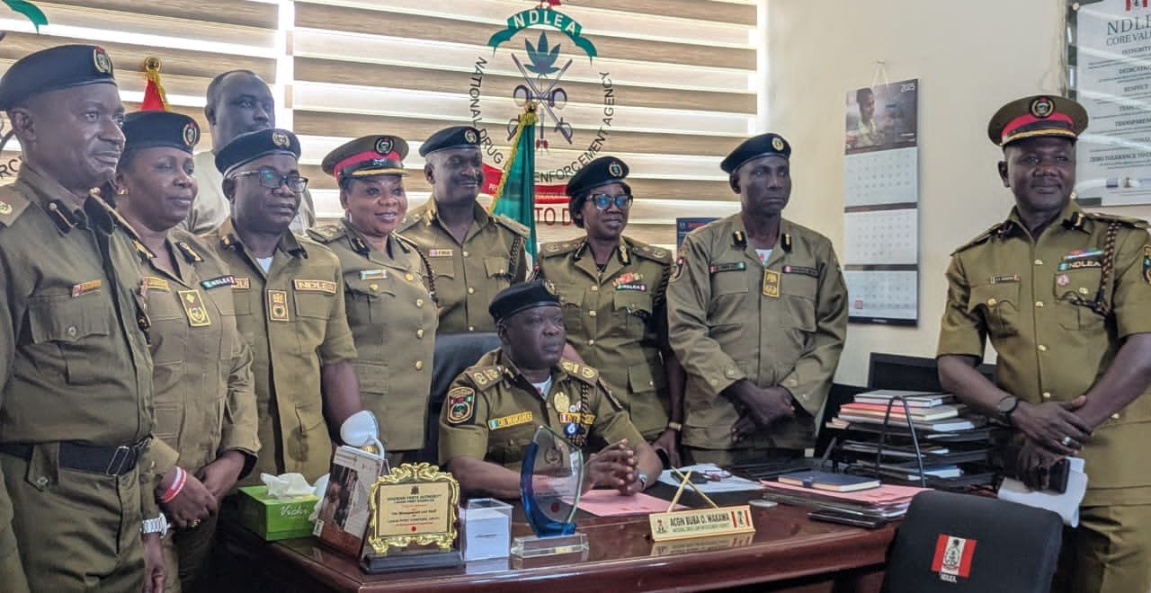 NDLEA seizes 14 containers of illicit substances in 1 year
