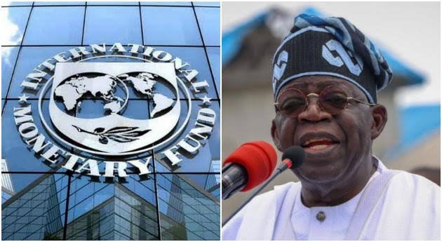 IMF needs to stop underestimating Nigeria’s economic growth potential – TMSG