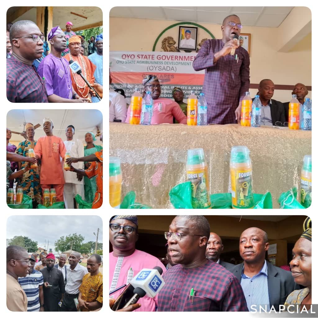 Farmers rejoice as OYSADA Concludes 5th Phase of N-CARES Farm Inputs Distribution.