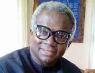Tinubu Upped Stakes On Good Governance, To Get 12-Million Votes From North – Okechukwu