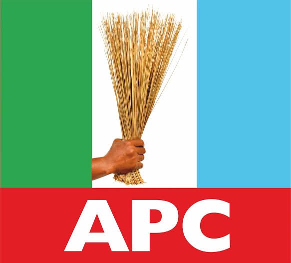 APC Italy Chapter Disowns Ibezim As Its Chairman