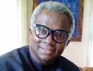 Okechukwu slams ADC over unpatriotic comments on Nigeria’s quest for UN Security Seat