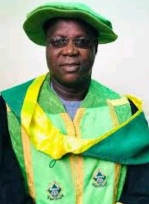 NELFUND rejuvenates school system, provide opportunity to less privileged families — VC