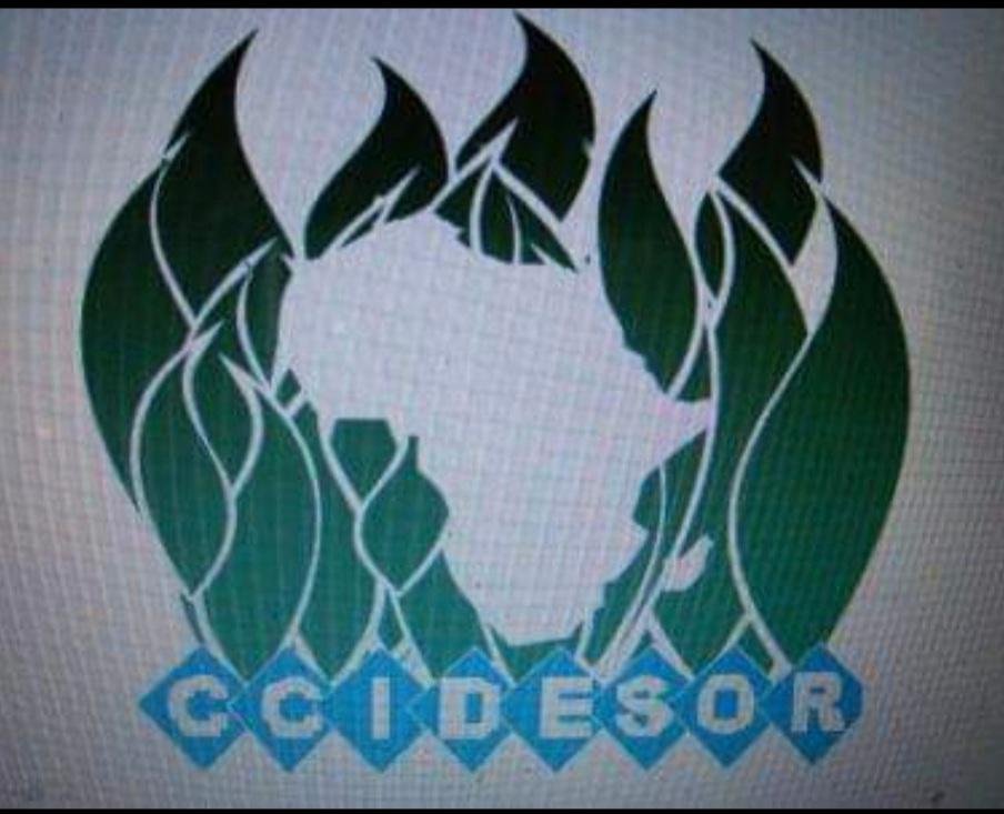CSOs Situation Room, CCIDESOR task Tinubu, NASS on political will to ensure LG autonomy