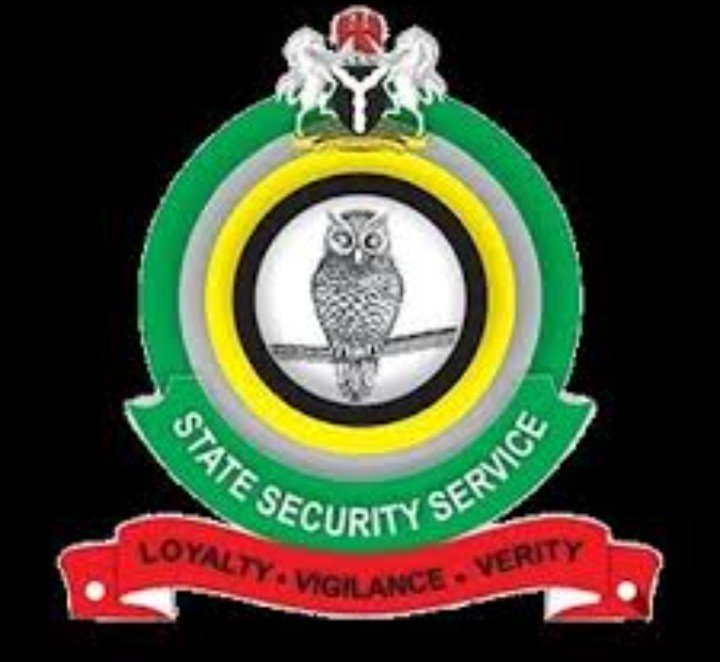 How we arrested man, who threatened to attack Abuja schools–DSS operative