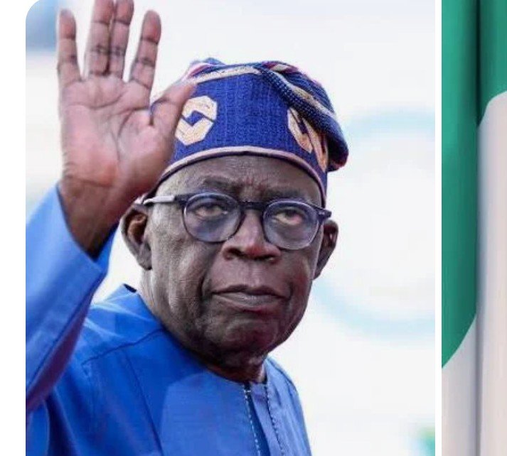 IMPI faults opposition, rates Tinubu’s policies successful, as Naira succeeds as Africa’s second-best-performing currency against dollar