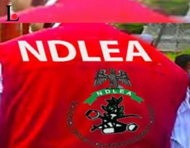 NDLEA uncovers alleged drug stash mansion in Lagos, seizes cannabis worth N5.8bn