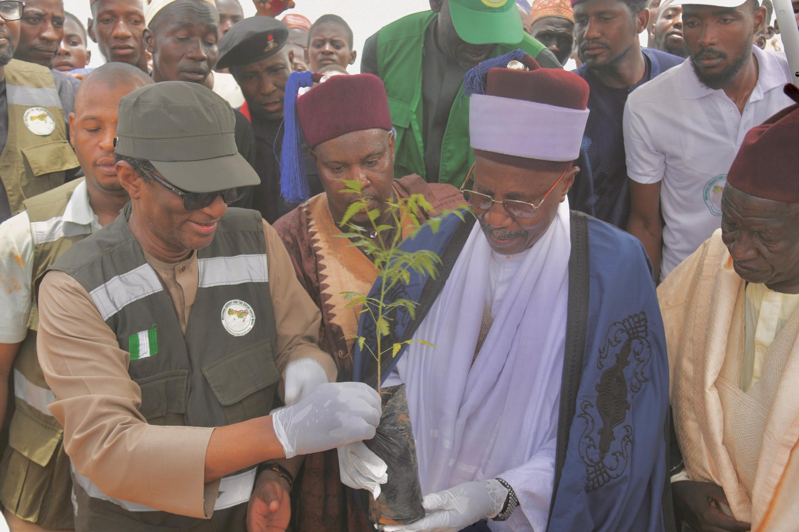 World Environment Day: NAGGW tasks Nigerians on massive tree planting