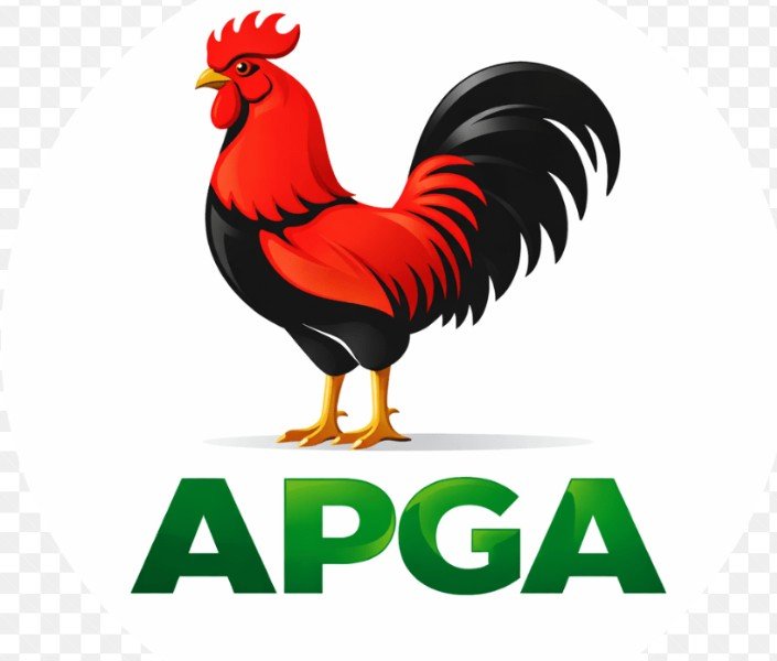 Anambra 2027: Aggrieved aspirant sues APGA, INEC over house of assembly’s primaries