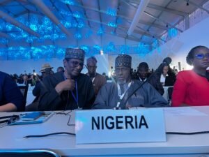 At COP17, Nigeria Demands Proactive Drought Management To Combat Land Degradation